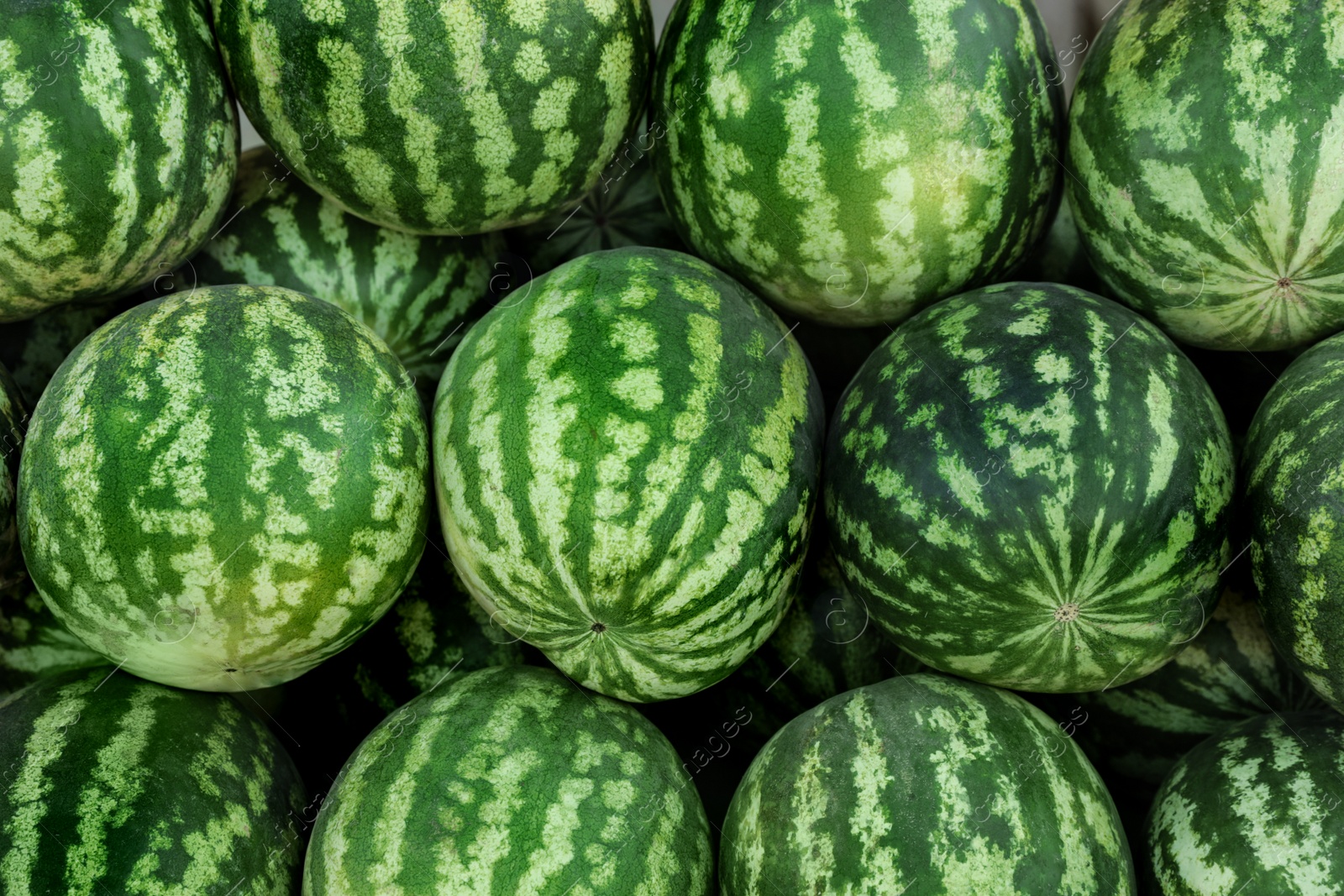 Photo of Delicious ripe watermelons as background, top view
