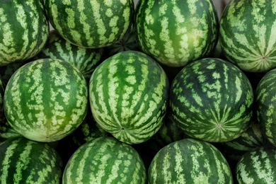 Delicious ripe watermelons as background, top view