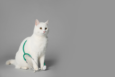 Photo of Cute cat with stethoscope as veterinarian on grey background. Space for text