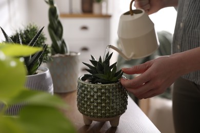 Photo of Woman watering beautiful potted plant indoors, closeup. Floral house decor