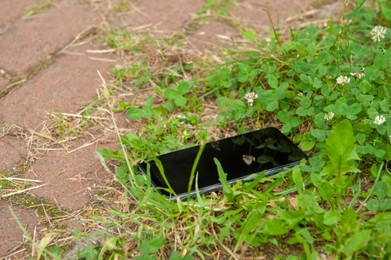 Photo of Smartphone lying on grass near pavement outdoors. Lost and found