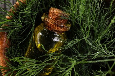 Bottle of essential oil and fresh dill in bowl, top view