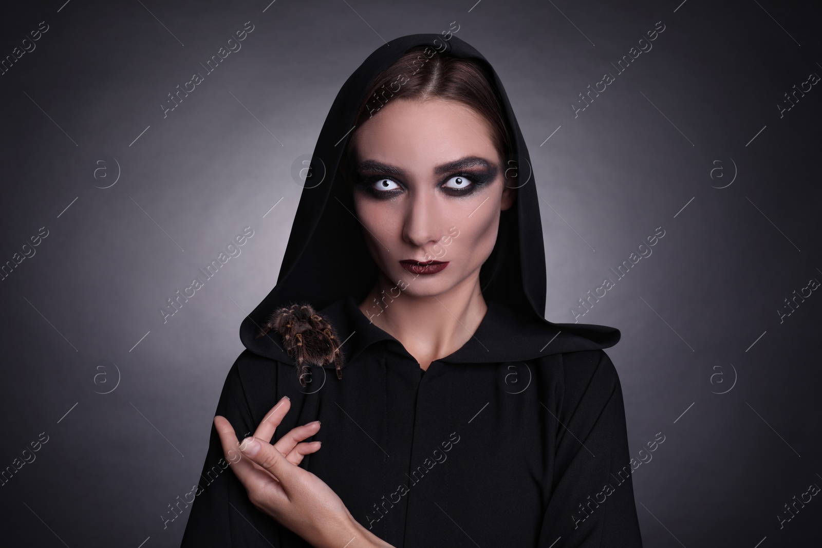 Photo of Mysterious witch with spooky spider on dark background