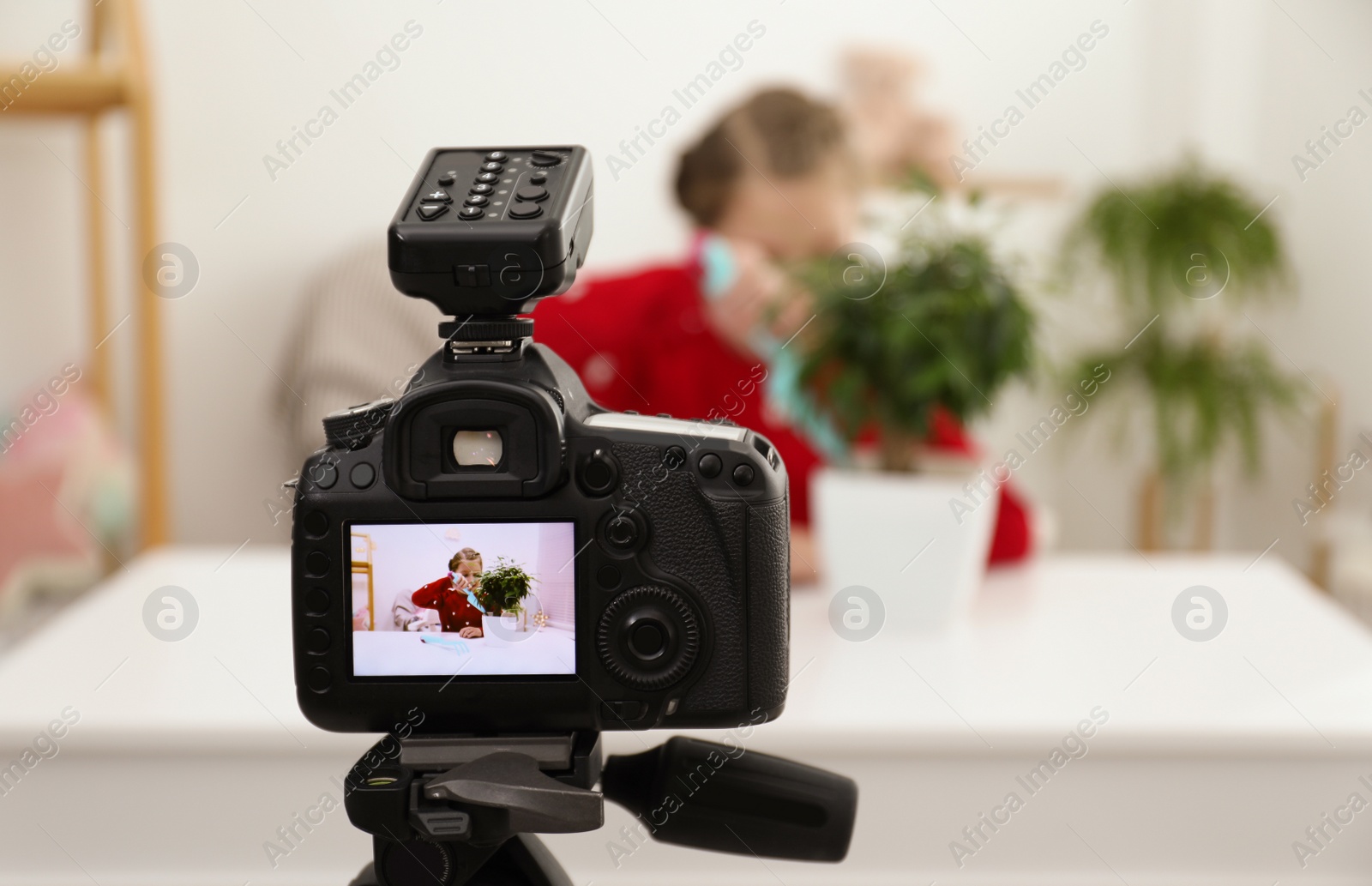 Photo of Cute little blogger with plant recording video at home, focus on camera