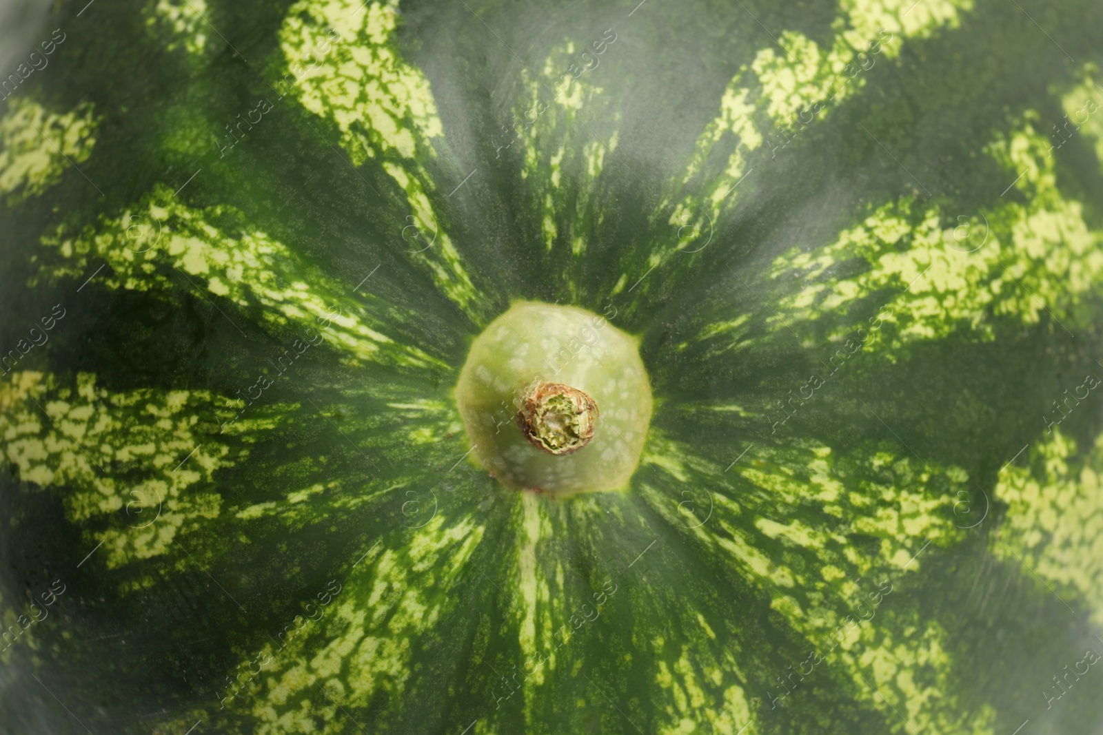 Photo of Delicious ripe watermelon as background, closeup view