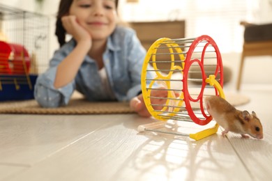 Little girl and her hamster in spinning wheel at home, focus on pet