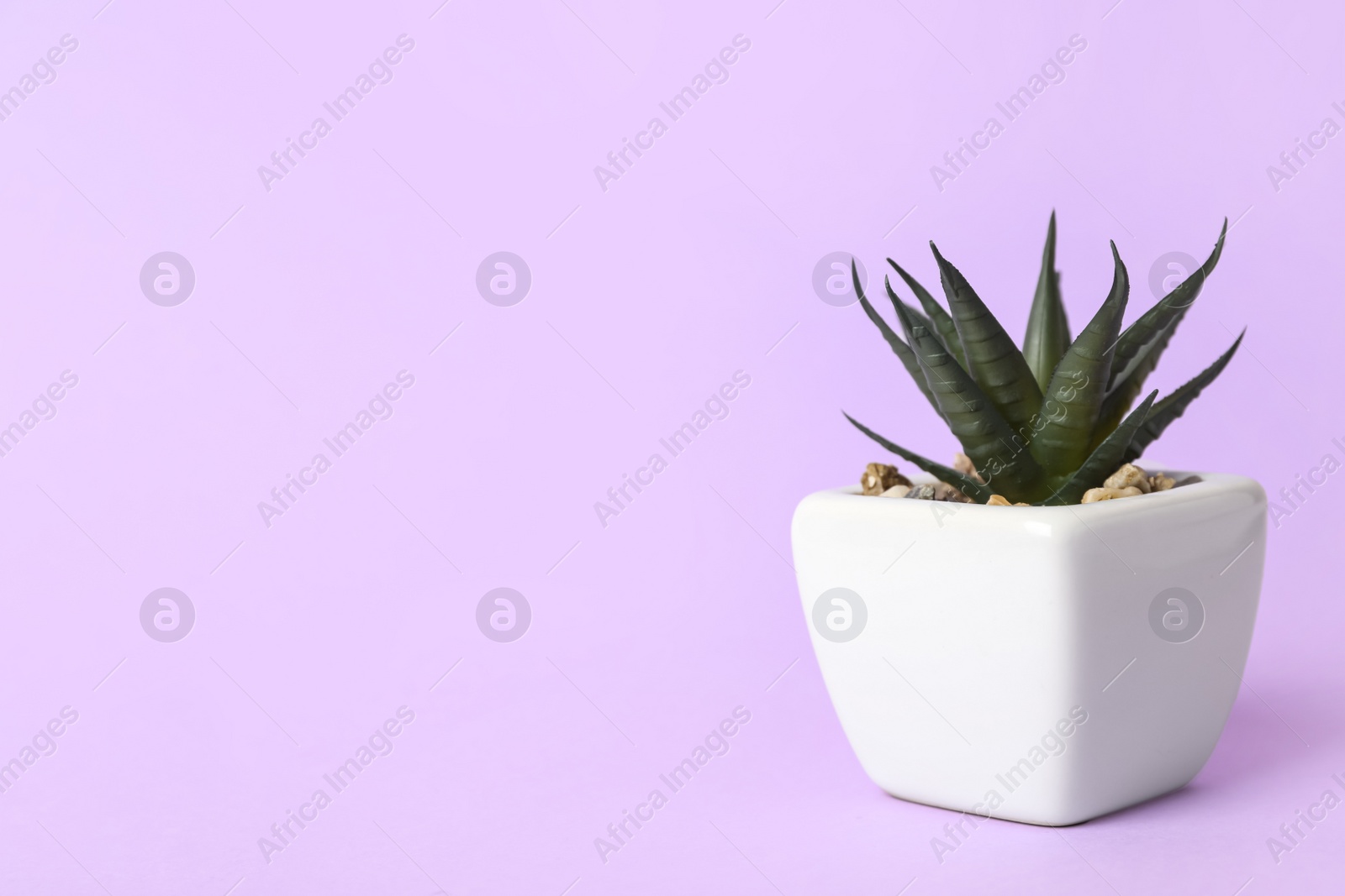 Photo of Beautiful artificial plant in flower pot on violet background, space for text