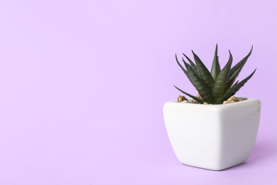 Beautiful artificial plant in flower pot on violet background, space for text