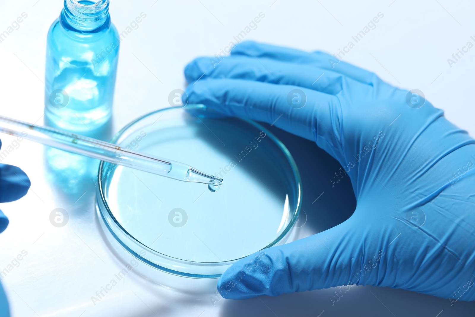 Photo of Scientist dripping liquid from pipette into petri dish at white table, closeup