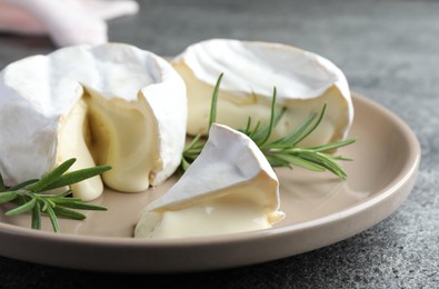 Photo of Delicious brie cheese with rosemary on grey table, closeup