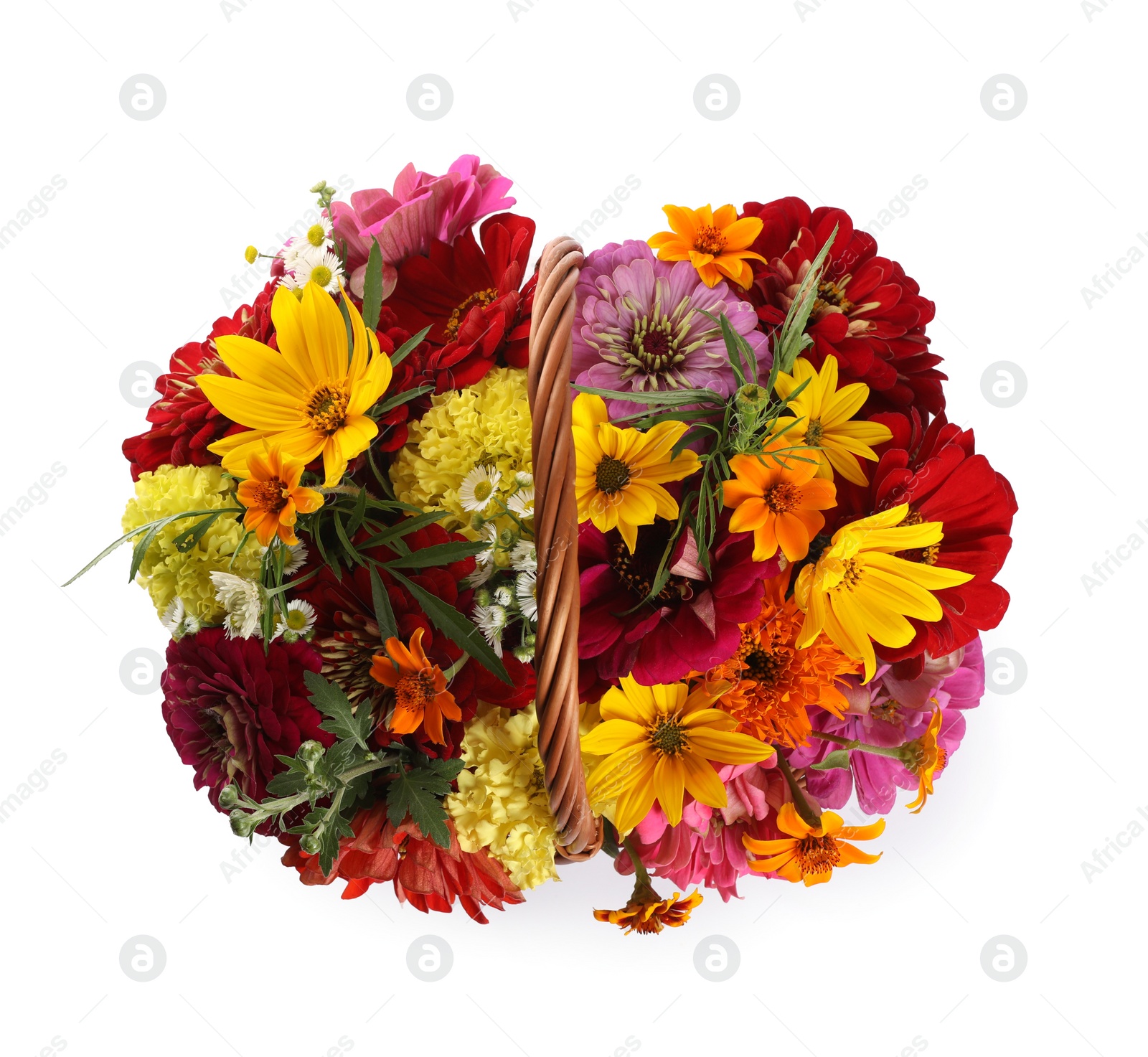 Photo of Beautiful wild flowers in wicker basket isolated on white, top view