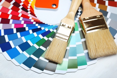 Photo of Brushes and paint color palette samples on table, closeup