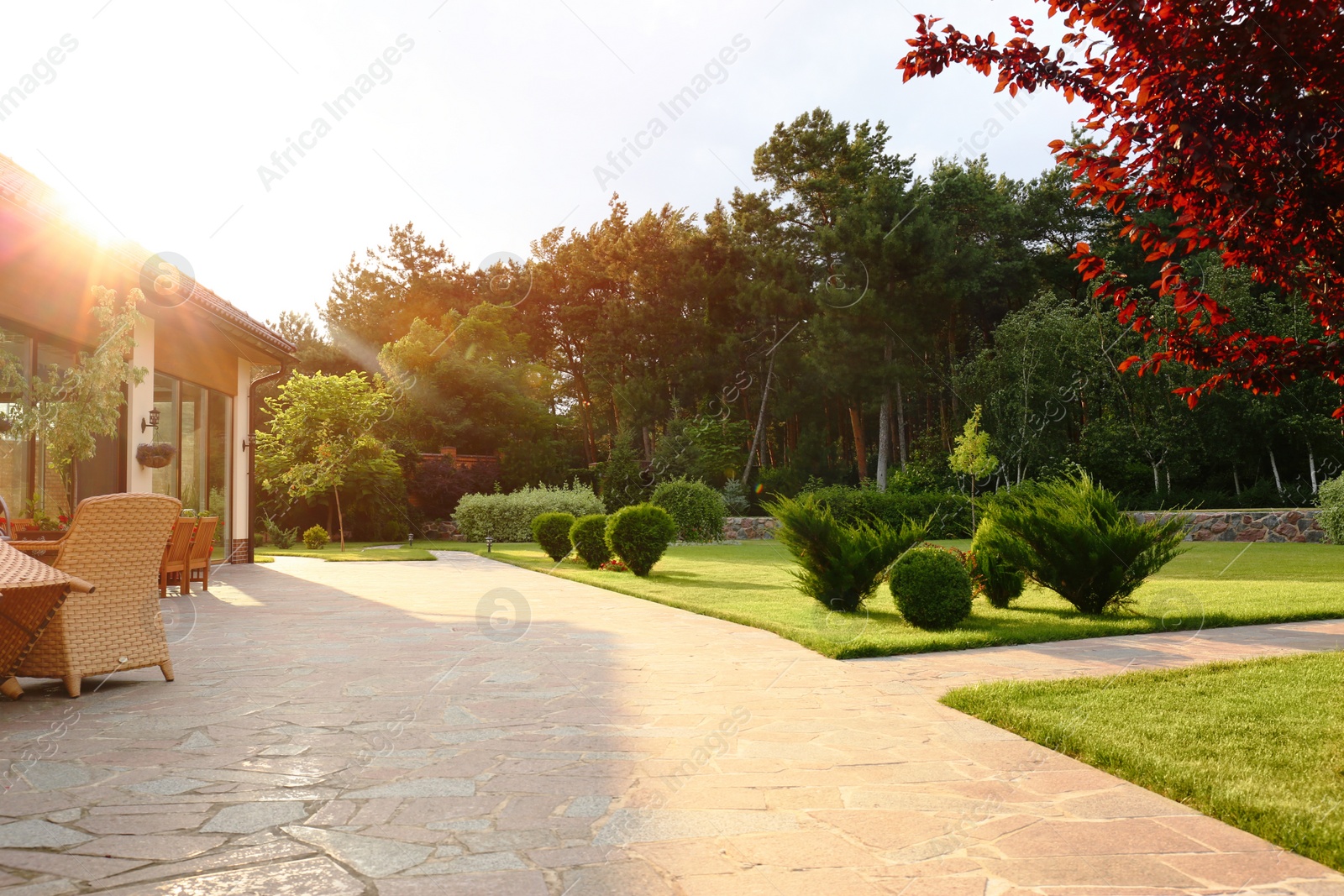 Photo of Picturesque landscape with beautiful green garden near house on sunny day