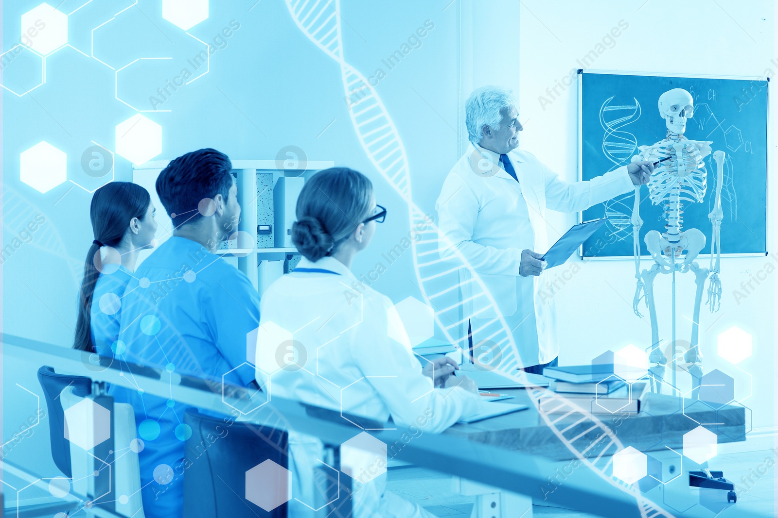 Image of Medical students and professor studying human skeleton anatomy in classroom