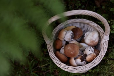 Photo of Basket full of fresh mushrooms in forest, above view
