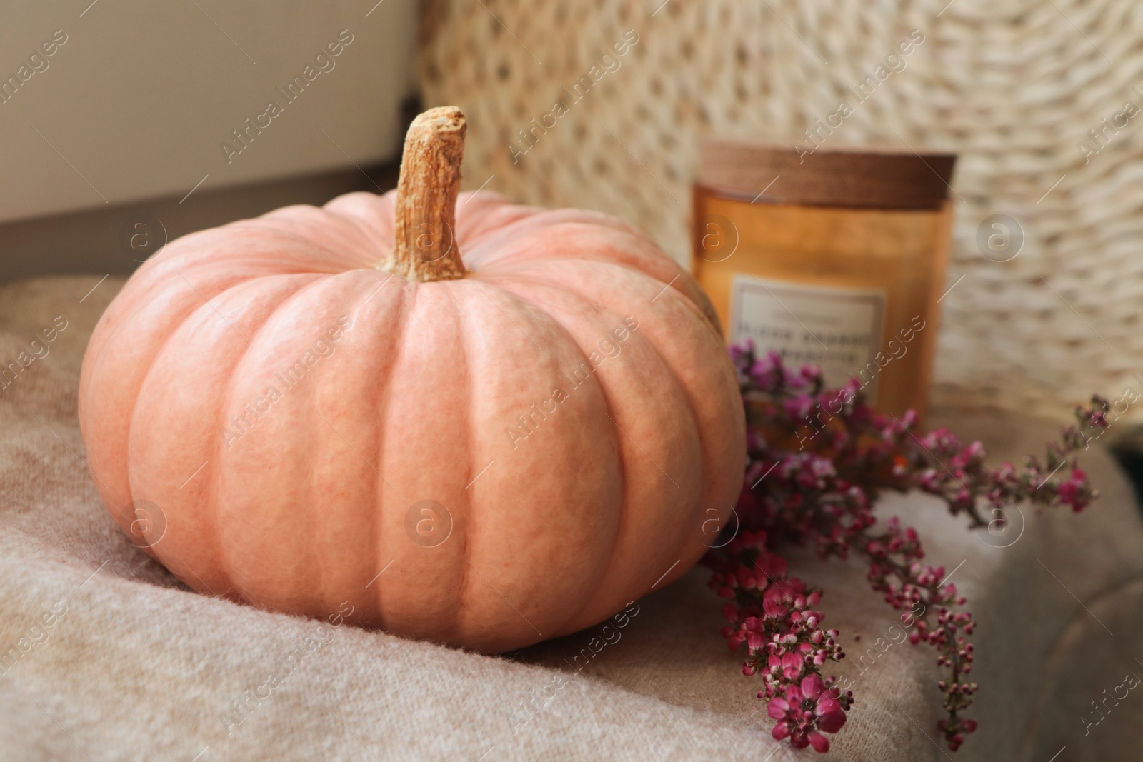 Photo of Pumpkin, beautiful heather flowers and candle on soft blanket, closeup