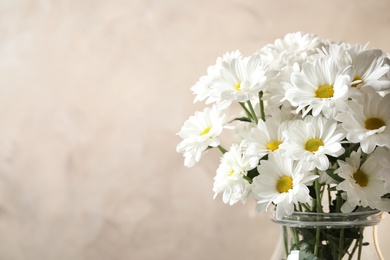 Vase with beautiful chamomile flowers on beige background, closeup. Space for text