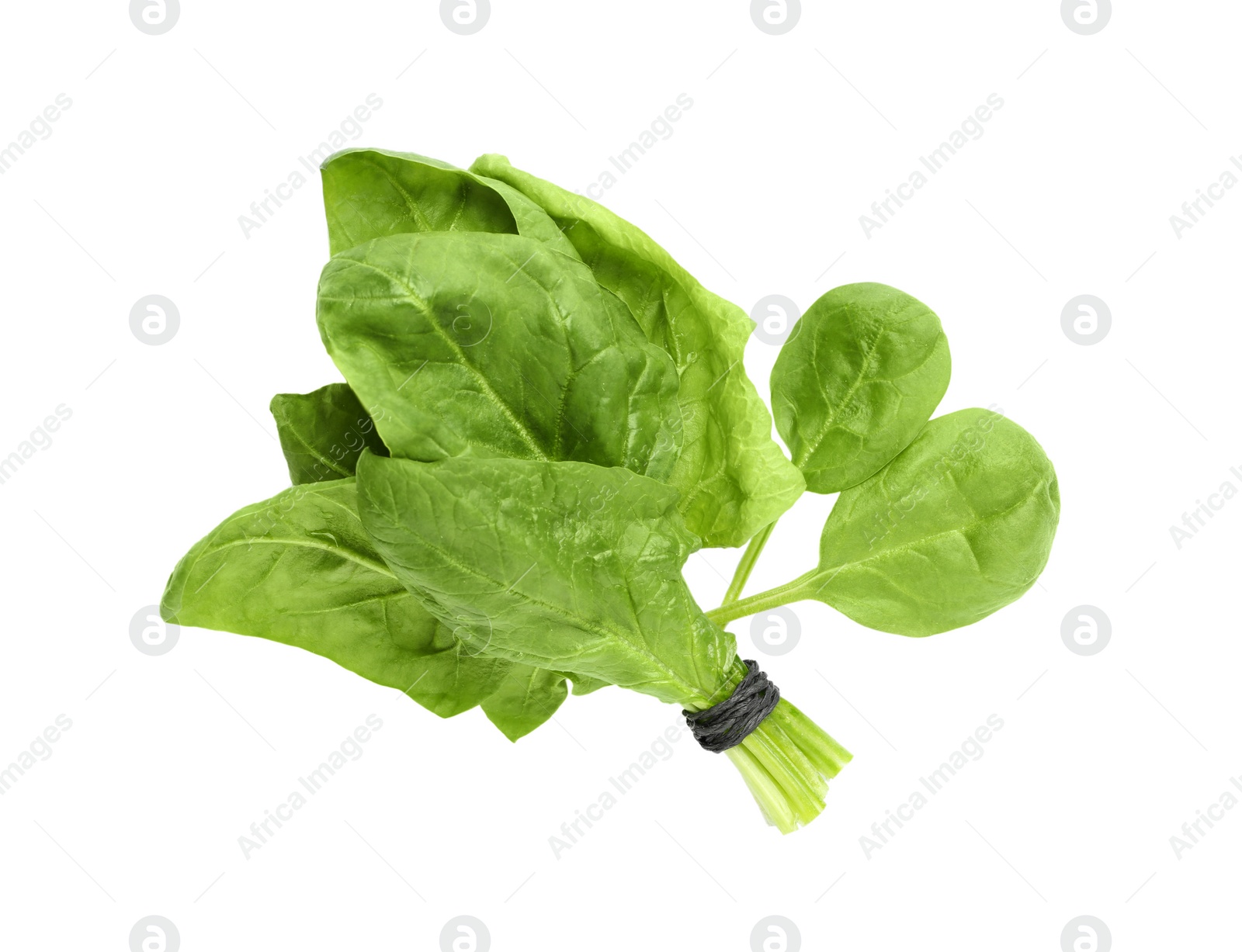 Photo of Bundle and fresh spinach leaves isolated on white, top view