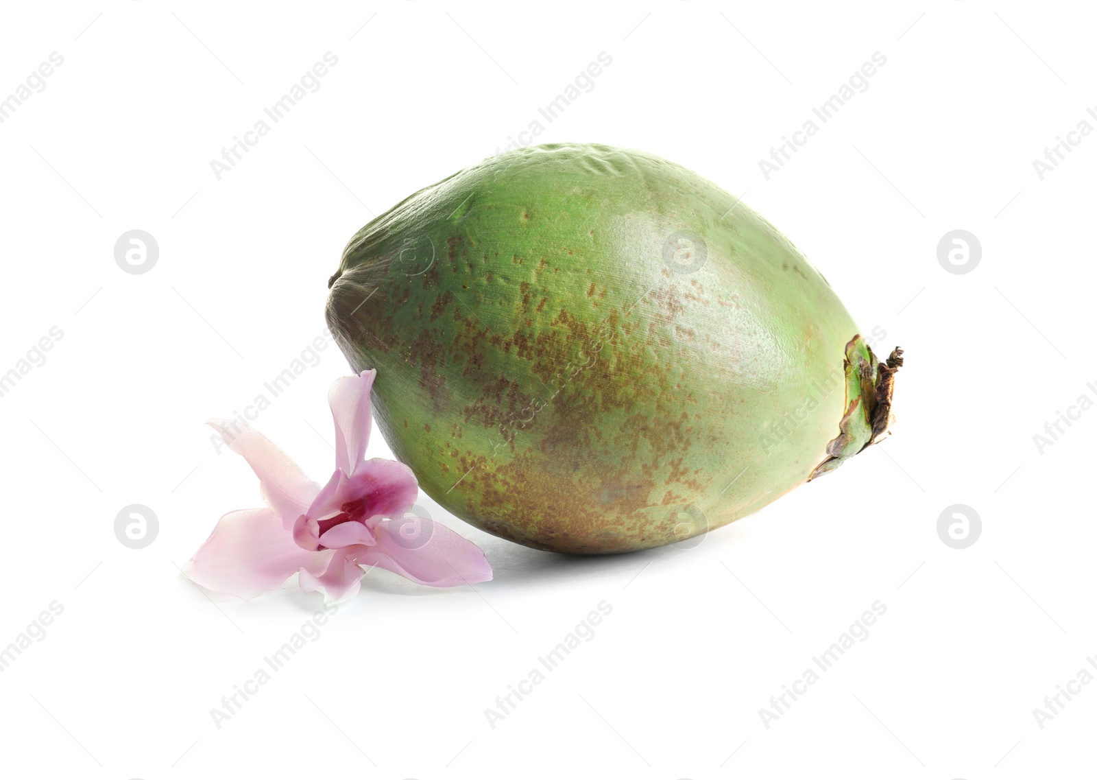Photo of Fresh green coconut and flower on white background