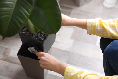 Photo of Woman hiding dollar banknotes in flower pot indoors, closeup. Money savings