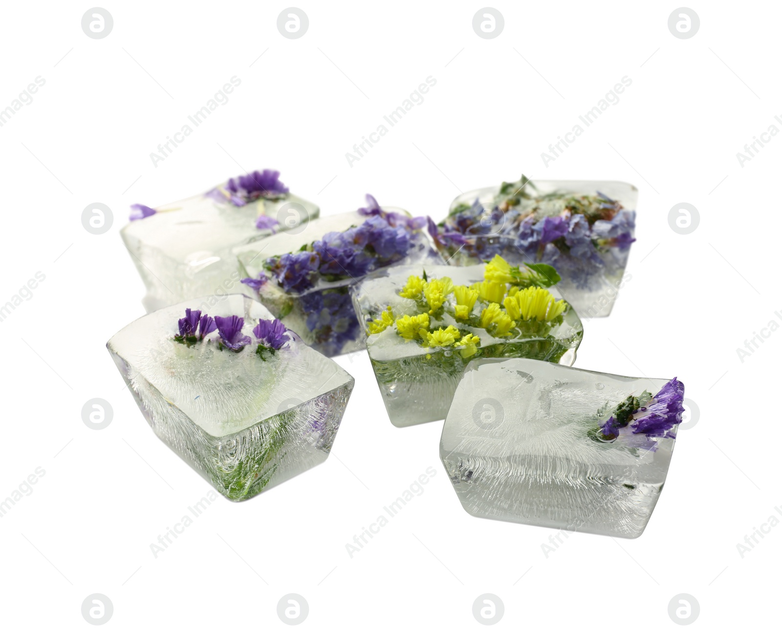 Image of Ice cubes with flowers on white background