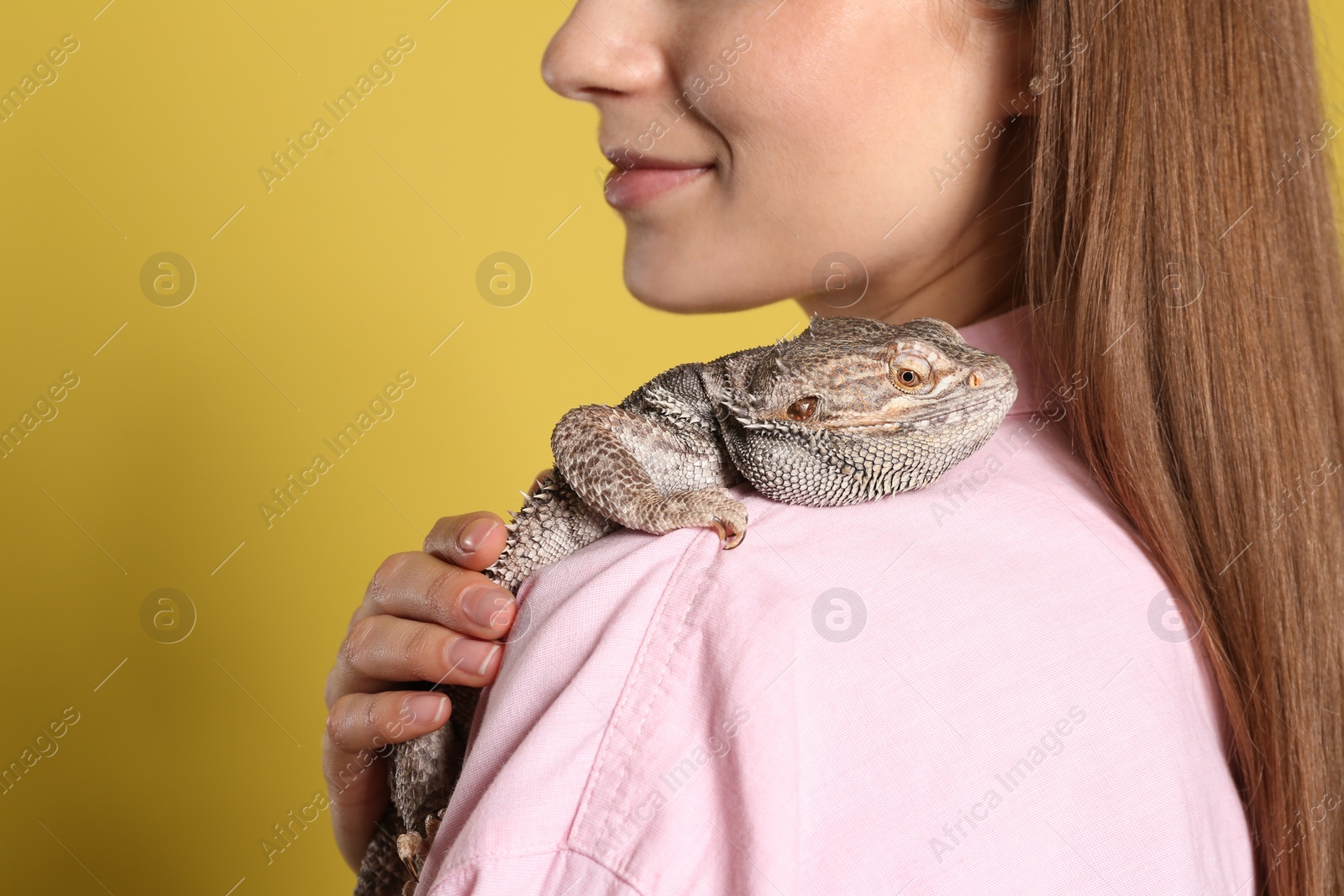 Photo of Woman holding bearded lizard on yellow background, closeup. Exotic pet