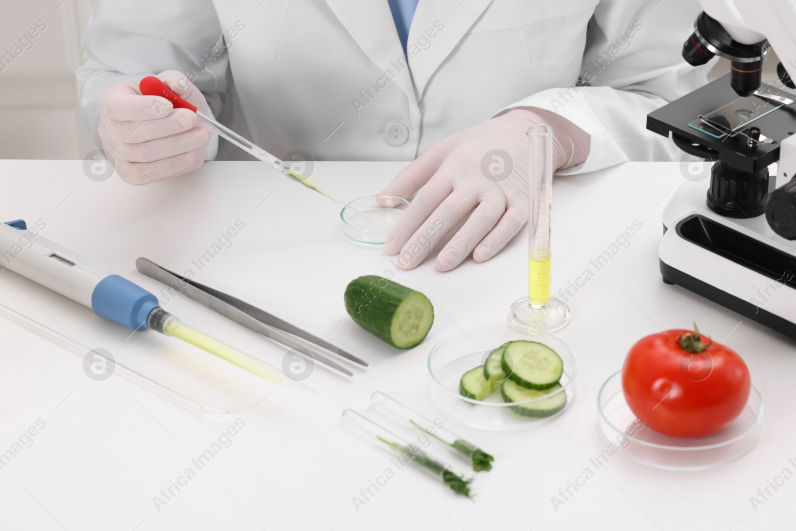 Photo of Quality control. Food inspector checking safety of products in laboratory, closeup