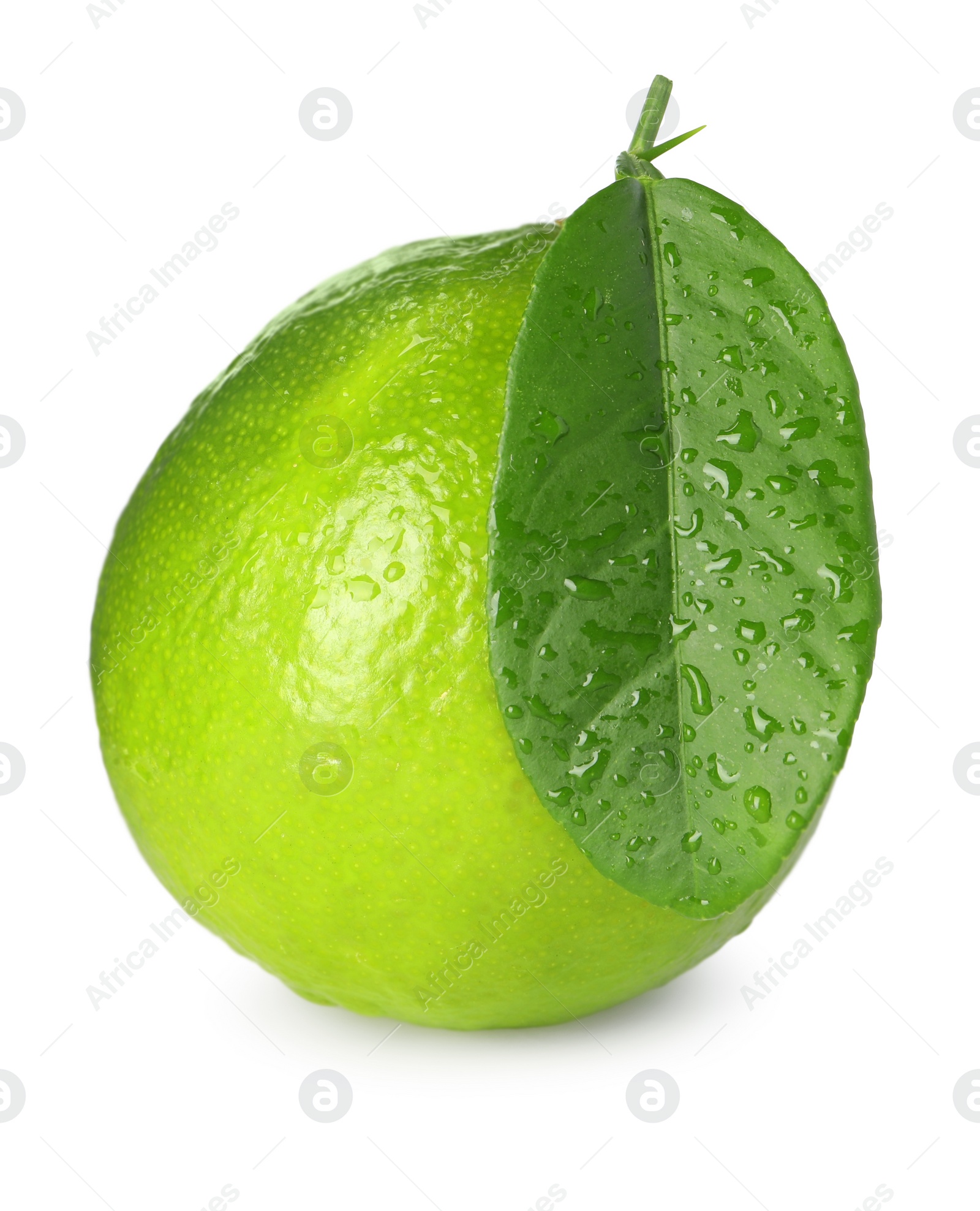 Photo of Wet green ripe lime with leaf isolated on white
