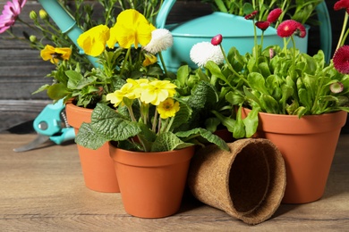 Photo of Blooming flowers in pots and gardening equipment on table