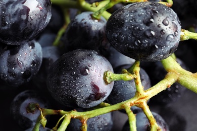 Photo of Bunch of fresh ripe juicy grapes as background. Closeup view