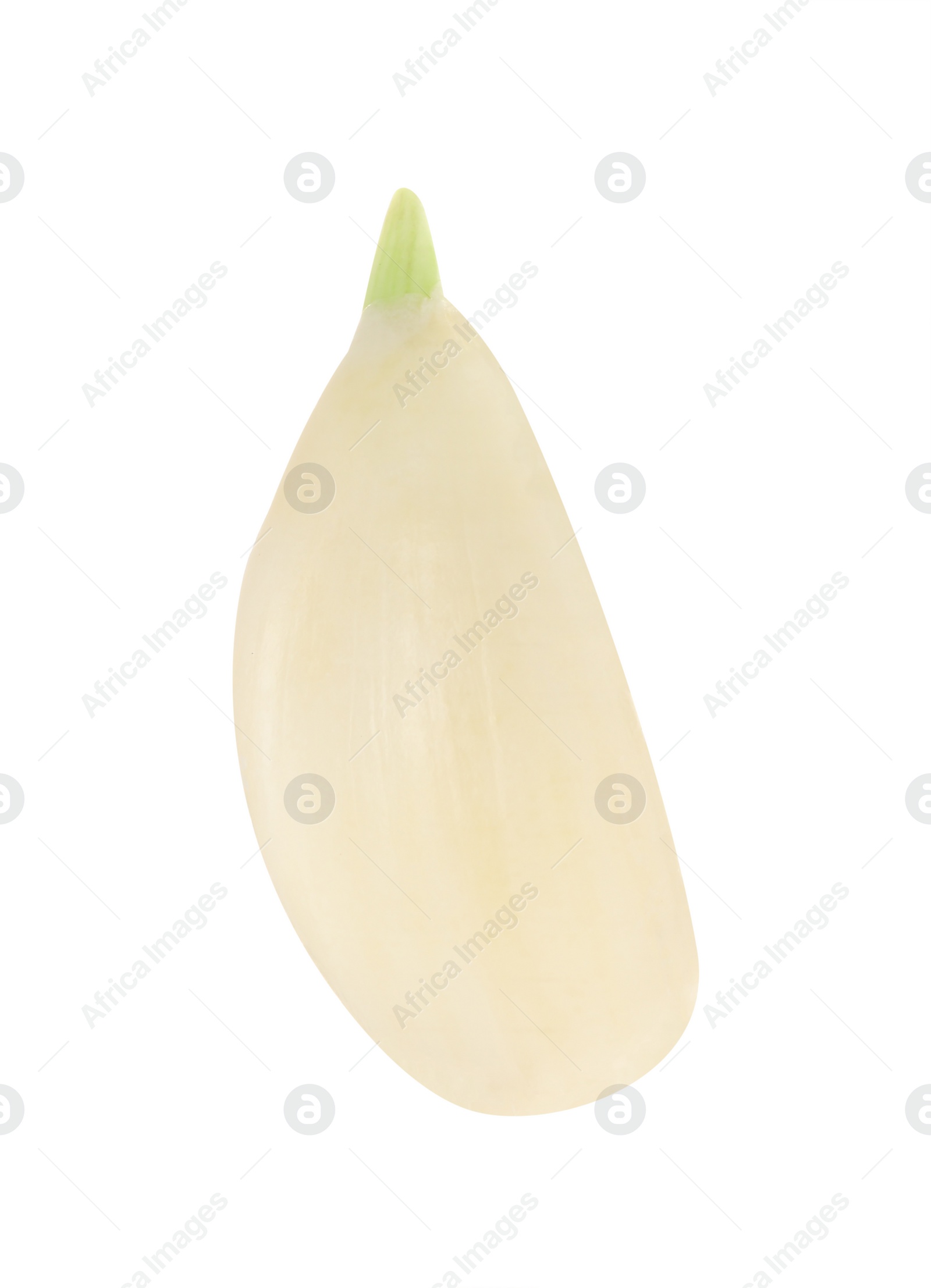 Photo of One peeled clove of garlic isolated on white