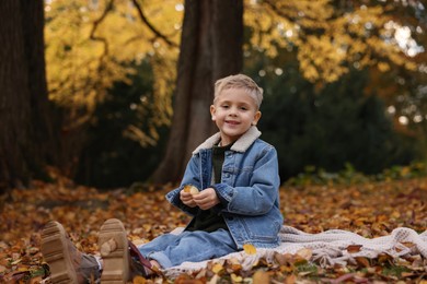 Photo of Portrait of happy little boy with dry leaves in autumn park