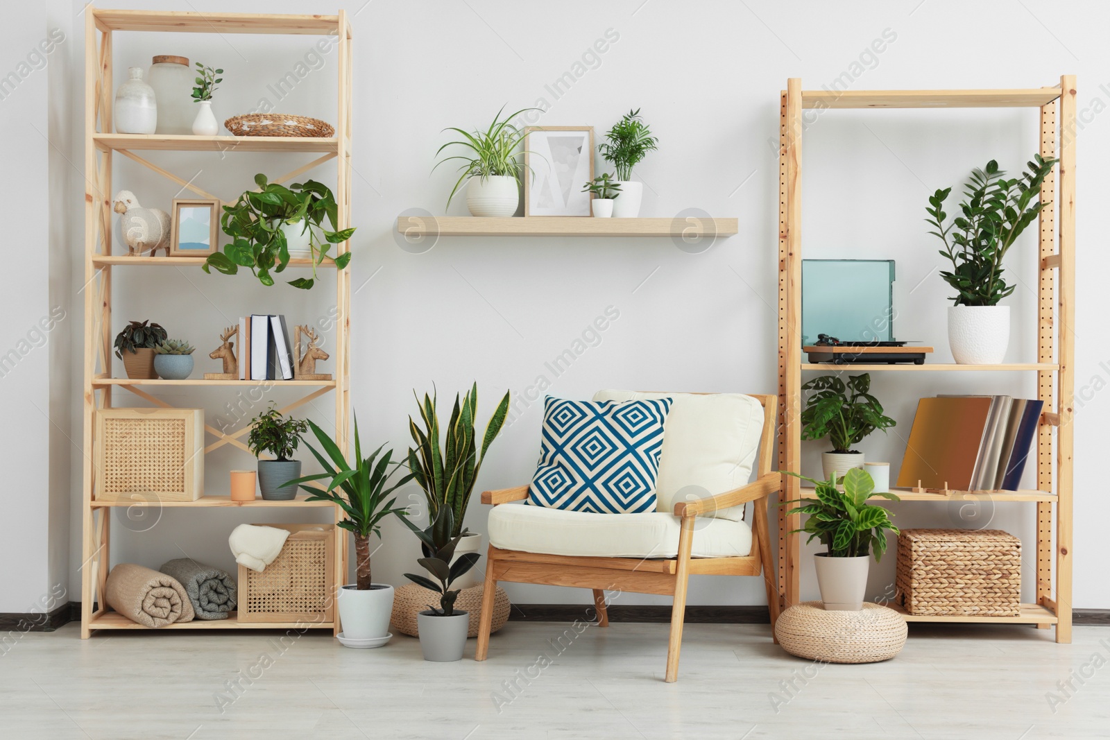 Photo of Beautiful living room interior with different houseplants and wooden furniture