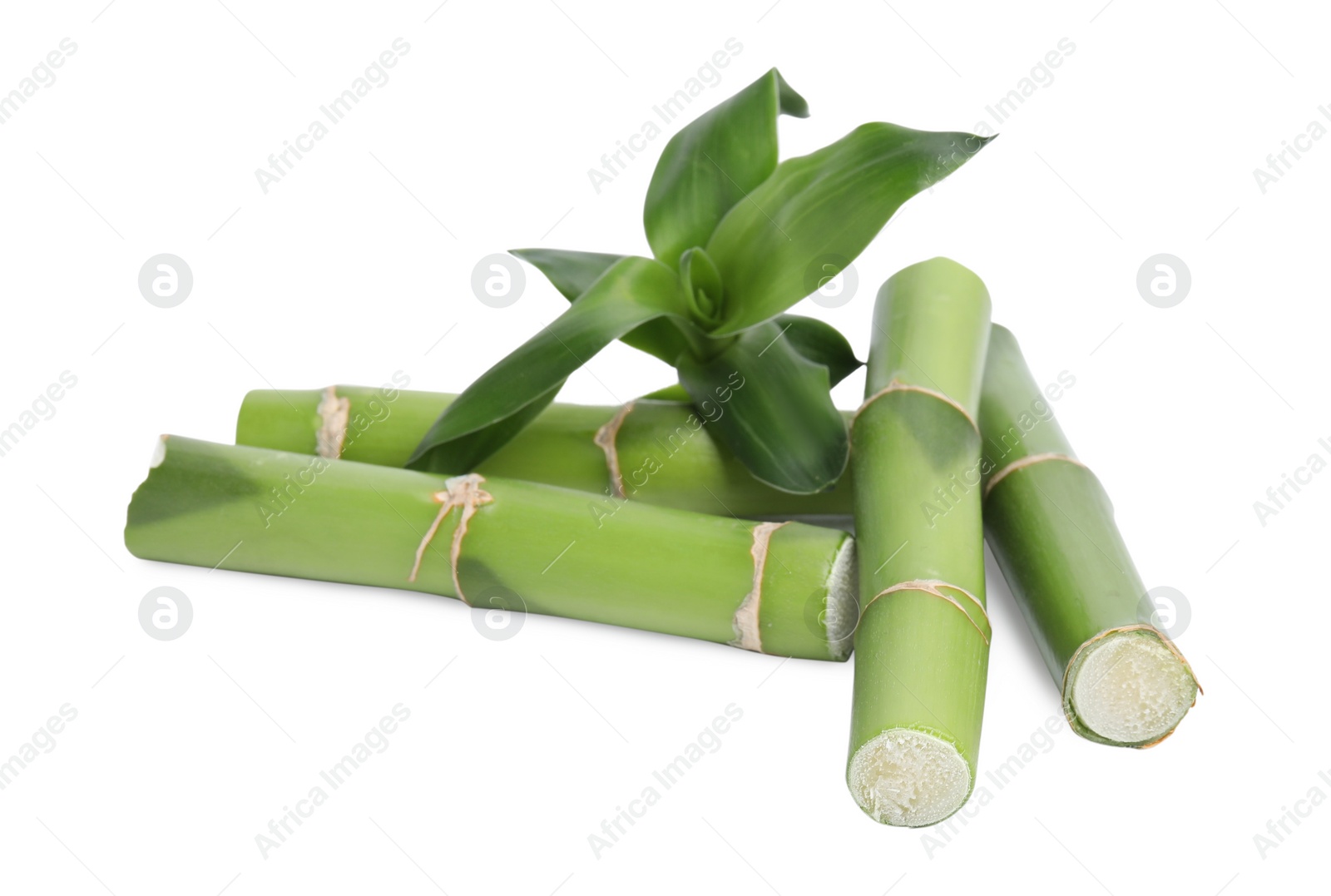 Photo of Pieces of beautiful green bamboo stems on white background