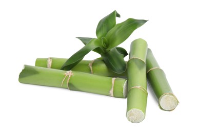 Pieces of beautiful green bamboo stems on white background