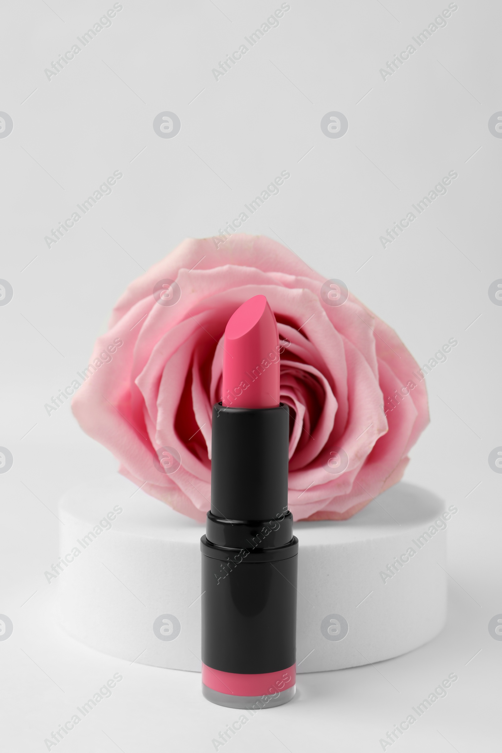 Photo of Beautiful pink lipstick and rose on white background