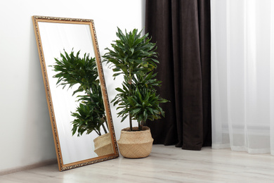 Modern interior with large mirror and dracaena plant