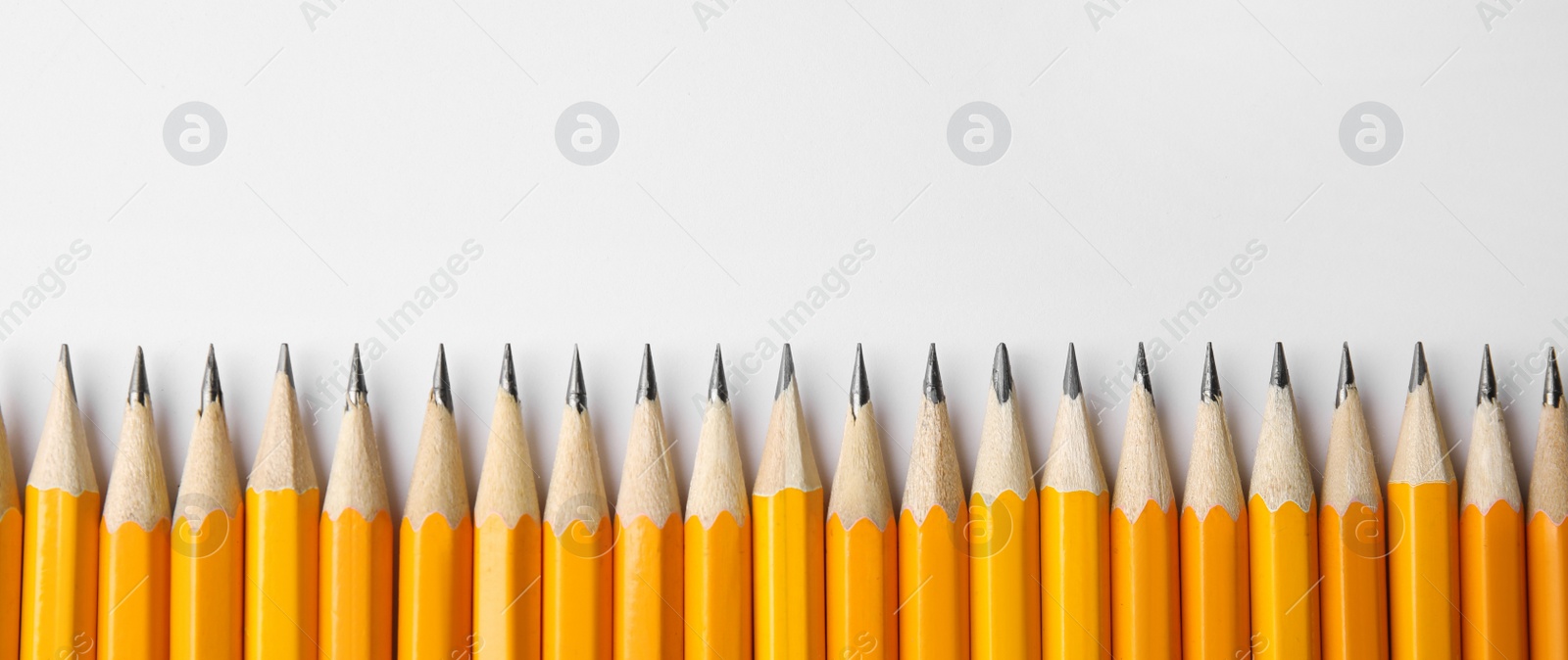 Image of Sharp pencils on white background, top view with space for text. Banner design