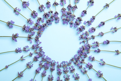 Photo of Frame with lavender flowers on light blue background, flat lay. Space for text