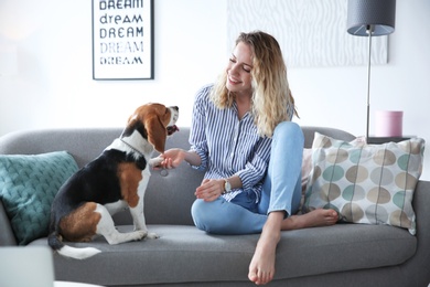 Photo of Young woman with her dog on sofa at home