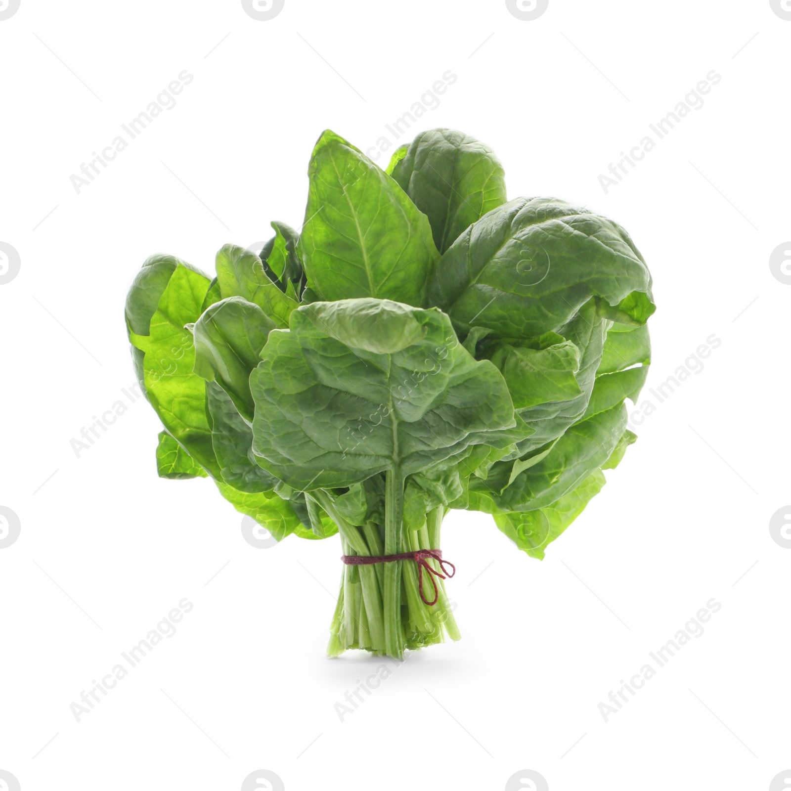 Photo of Bundle of fresh spinach isolated on white