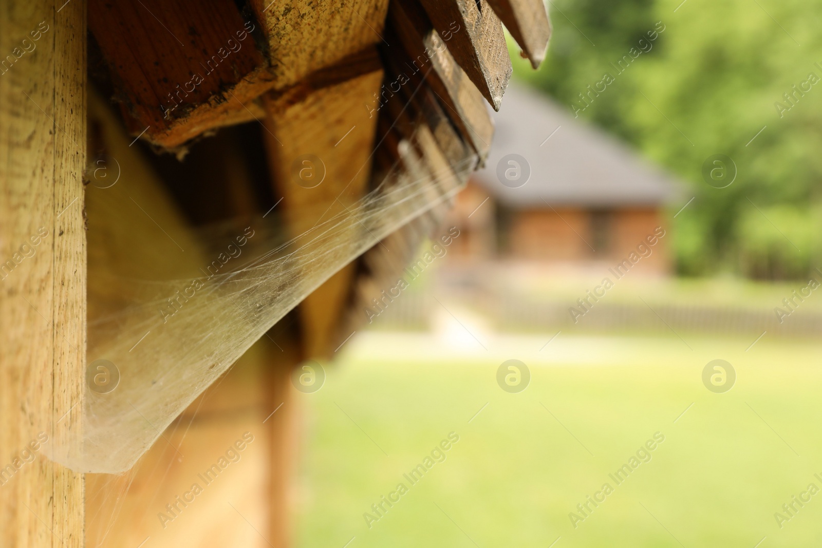 Photo of Cobweb on wooden building outdoors, closeup. Space for text