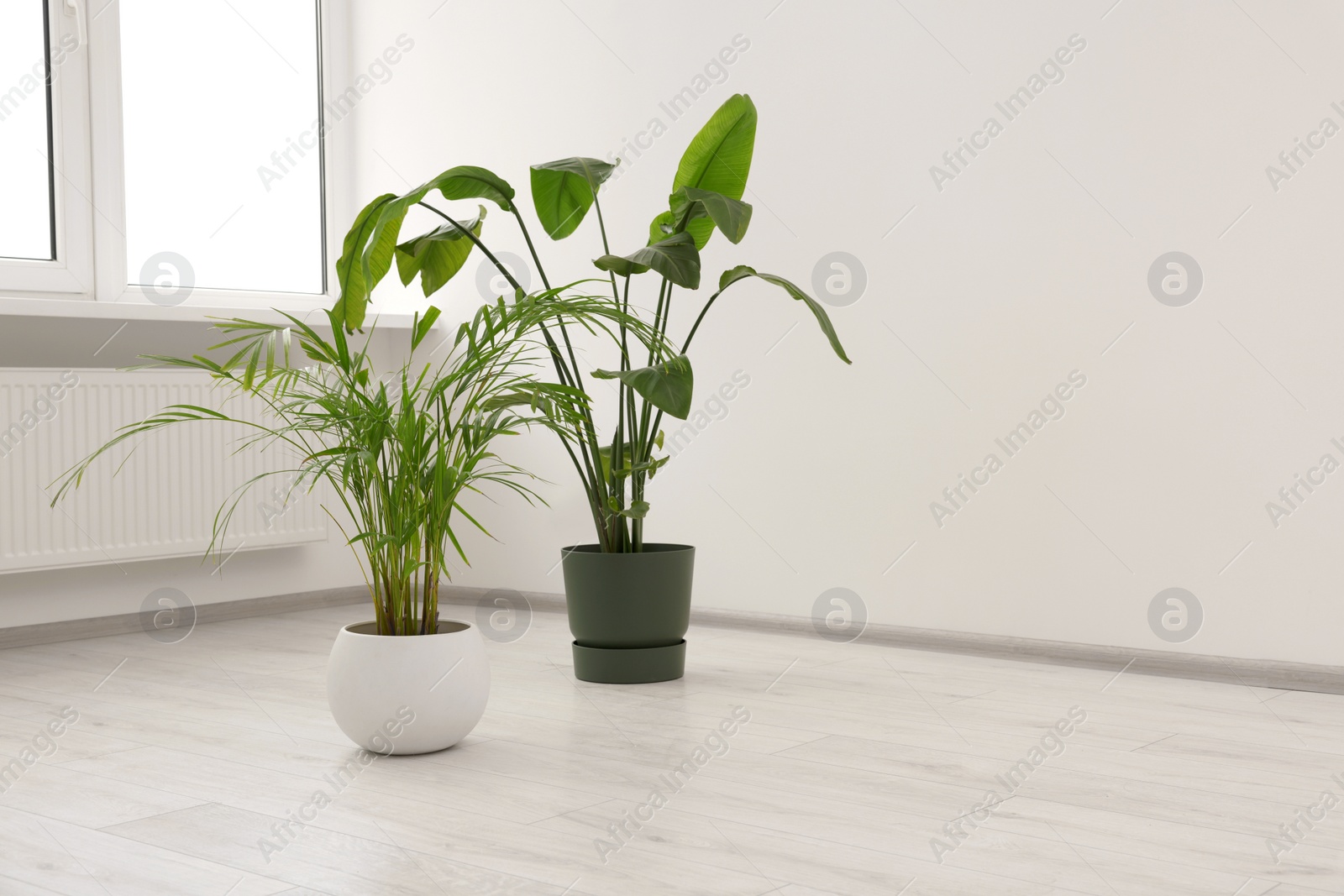 Photo of Empty renovated room with potted houseplants and windows