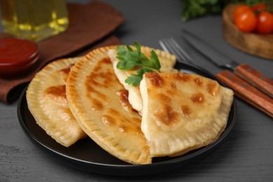 Photo of Delicious fried chebureki with cheese and parsley on grey wooden table