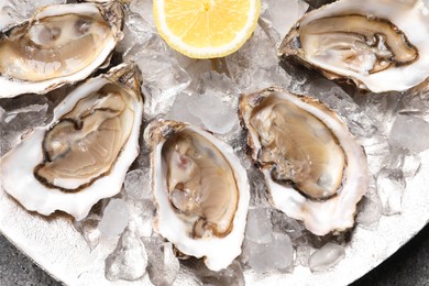 Delicious fresh oysters with lemon and ice on table, top view