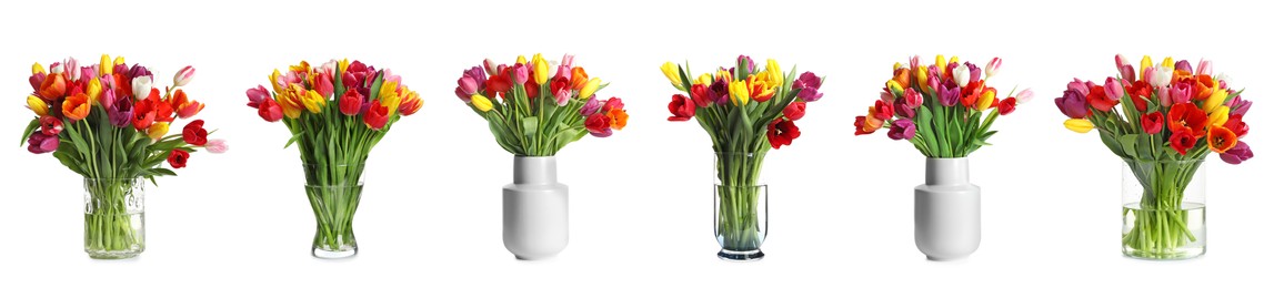 Image of Collage of stylish vases with beautiful tulip bouquets on white background