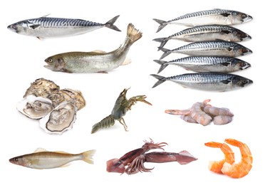 Image of Collage with different seafood on white background