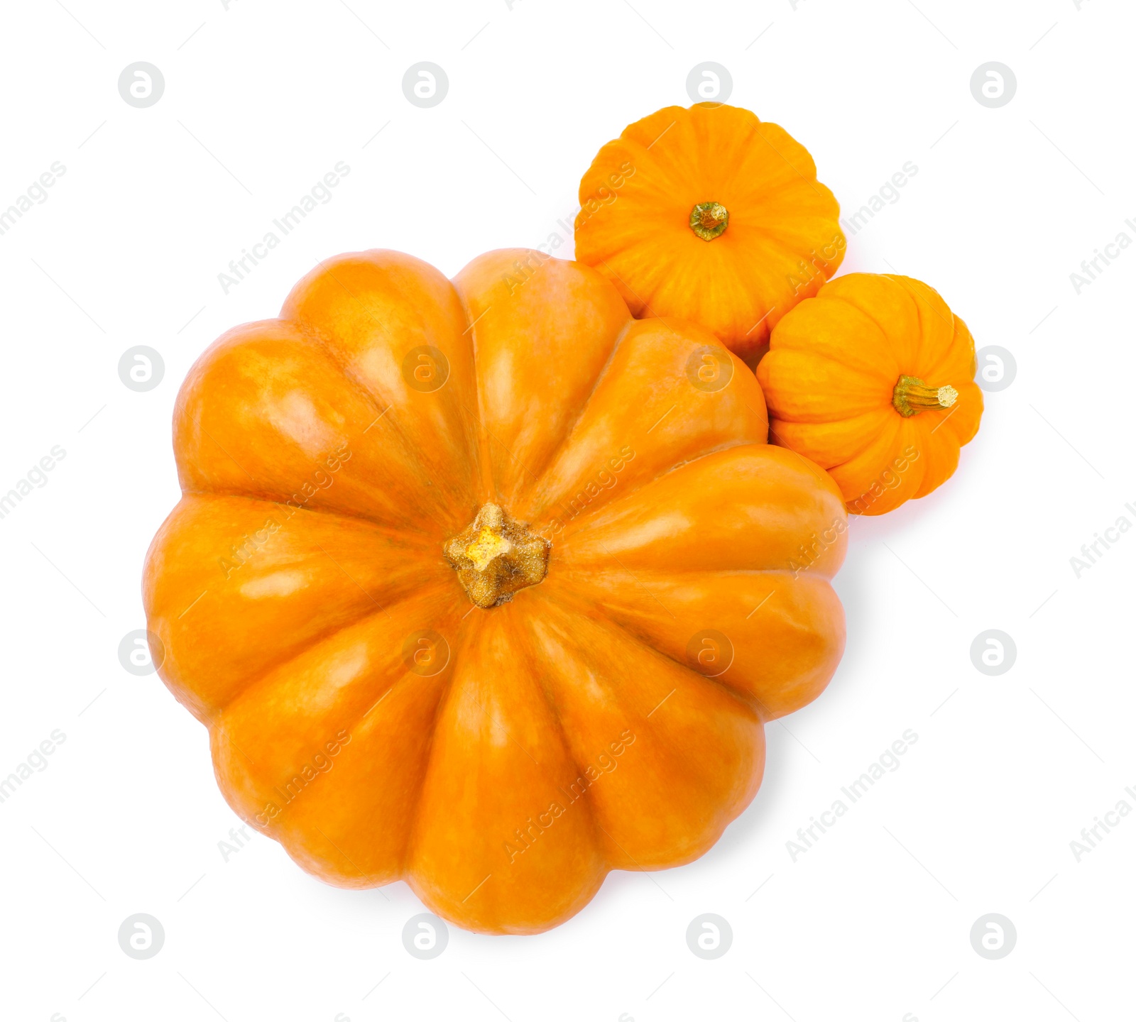 Photo of Fresh ripe pumpkins on white background, top view