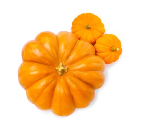 Photo of Fresh ripe pumpkins on white background, top view