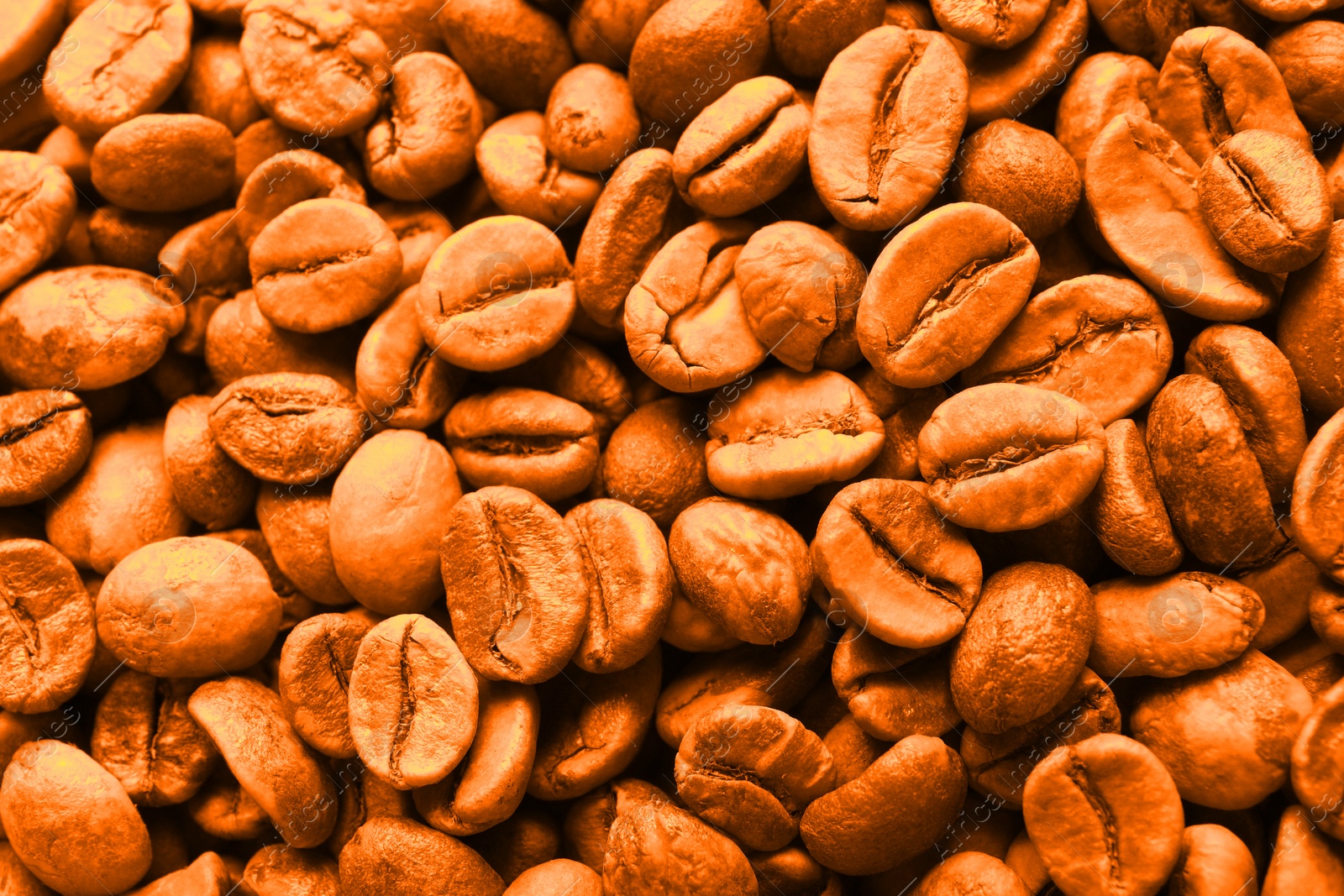 Image of Coffee beans as background, top view. Toned in orange
